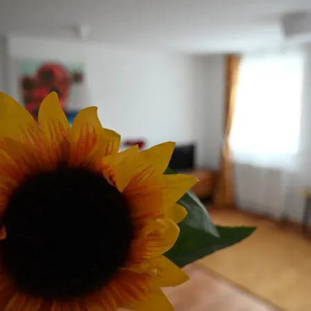Krakovska Apartamento *