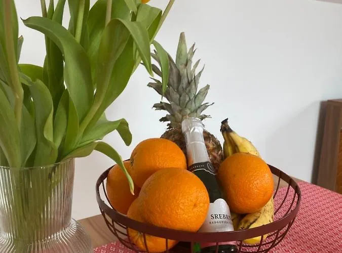 Daire Krakovska Ljubljana