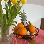شقة Krakovska ليوبليانا