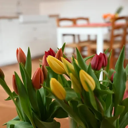 Krakovska * ليوبليانا