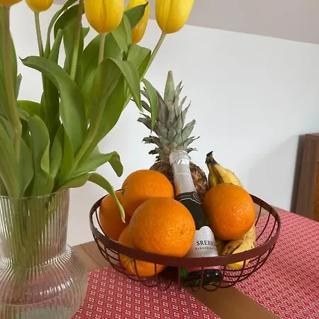 Apartma Krakovska Ljubljana